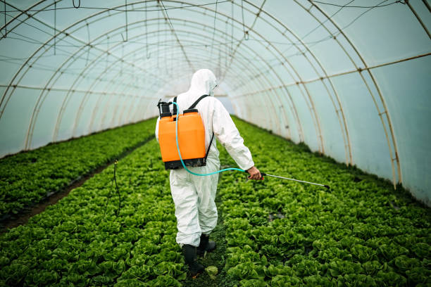 Professional Pest Control in Cathedral City, CA