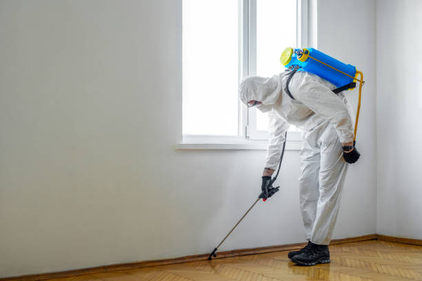 Best Mosquito Control Services  in Thedral City, CA