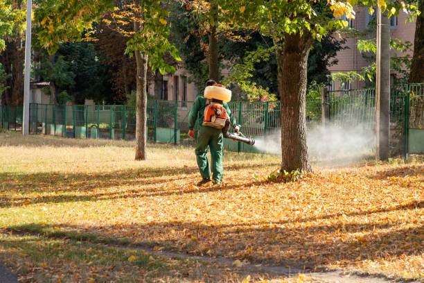 Best Bed Bug Extermination  in Thedral City, CA