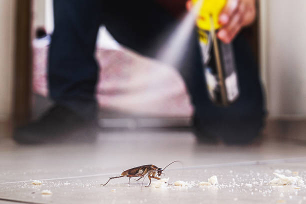 Best Best Pest Control Near Me  in Thedral City, CA