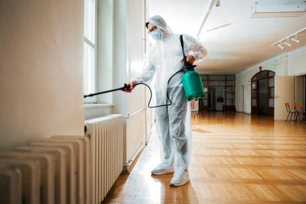 Best Pest Control Near Me in Cathedral City, CA