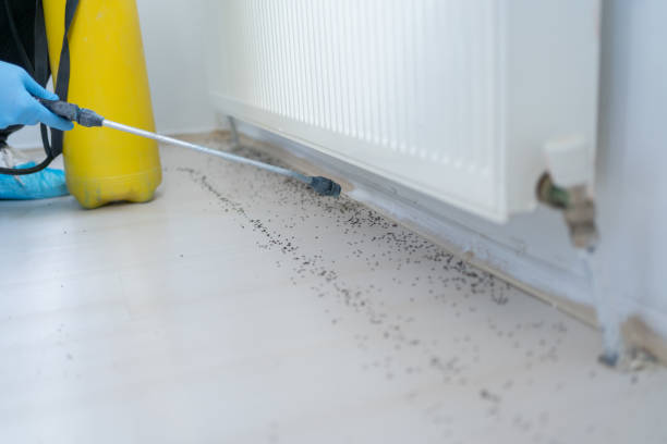 Best Cockroach Control Services  in Thedral City, CA